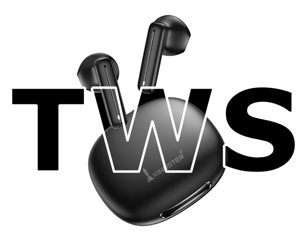 TWS Earbuds